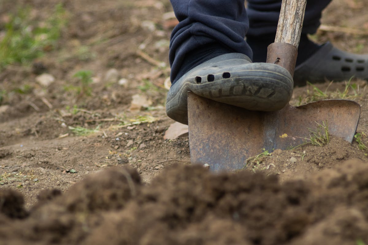 Foot pressing a shovel into garden soil before digging fence post holes safely